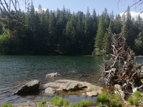 Šumava National Park Šumava National Park